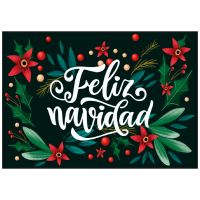Balconera Navidad (47)
