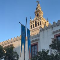 Gallardetes